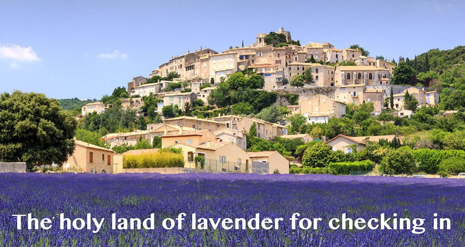 The holy land of lavender for checking in!